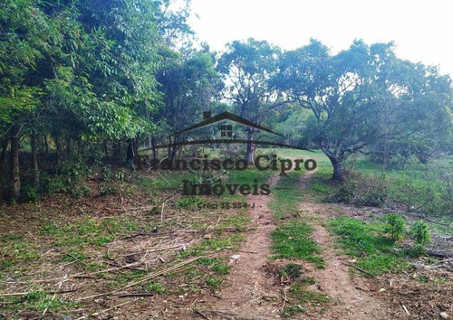 Terreno Terreno À Venda Em Guaratinguetá/sp - Tr040