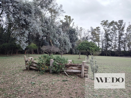 Casas Estilo Colonial Sobre 22.000 M2 De Terreno! Pegado A Country Martindale