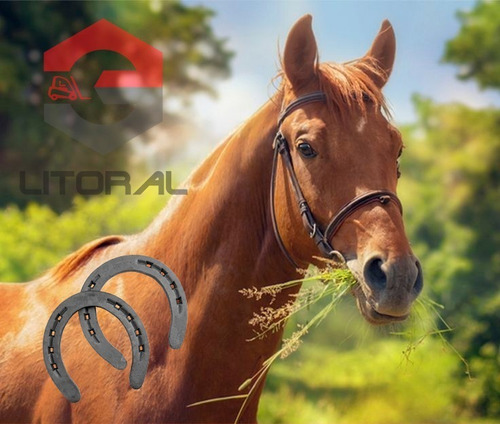 Tenaza Desvasador Bahco Para Cascos Caballos Herradura