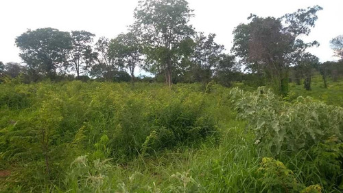 Fazenda De Gado E Graõ Com 455 Hectares Curvelo - 36426