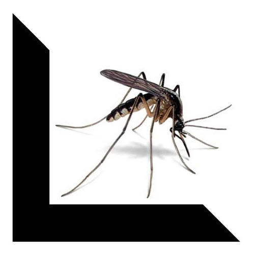 Imagen 1 de 9 de Kit 3 Unid. Repelente Mosquitos Ultrasonido Antialergico 220
