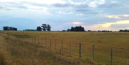 Vendo O Permuto Chacra De 2 Hectareas A 40 Minutos De Tandil