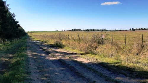 Imagen 6 de 18 de Hermosas Chacras Campos De 3 Hectareas En Tala