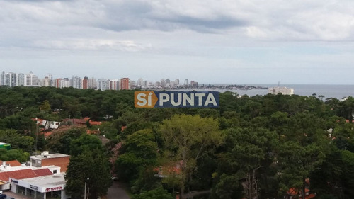 Imagen 5 de 30 de Apartamento En Venta - Roosevelt