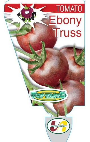 10 Sementes De Tomate Australiano Ebony Truss Raro Delicioso