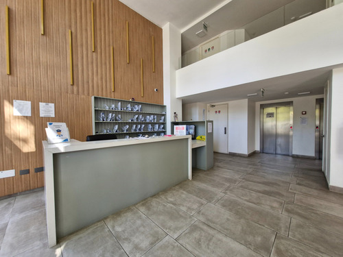 Departamento En Arriendo En Collao Concepcion