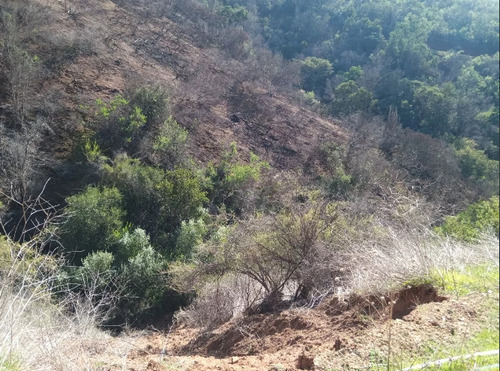 23 Hectáreas En La Tranquila Quebrada Escobares