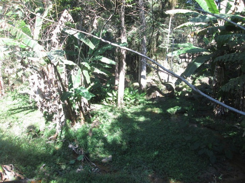 Lindo Sitio Com Belo Lago E Piscina...