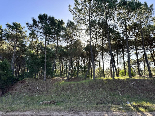 Venta Lote En Pinamar Norte - Costa Atlantica