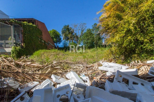 Terreno Em Chácara Das Pedras - El56355881