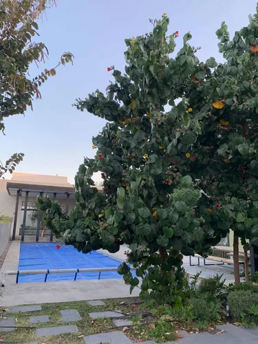 Se Vende Casa En En Condado Queretaro