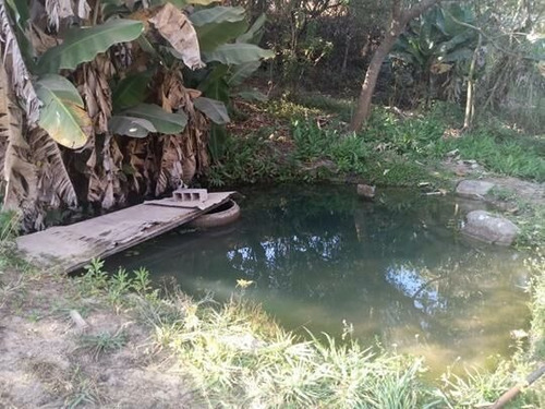 Imagem 16 de 19 de Chácara À Venda Em Pedra Bela/sp - 0071