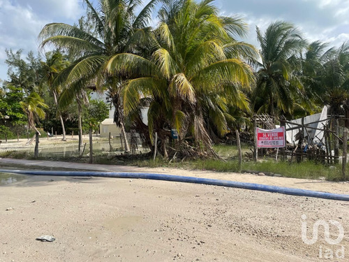 Venta Terreno 0 Ambiente Isla De Holbox