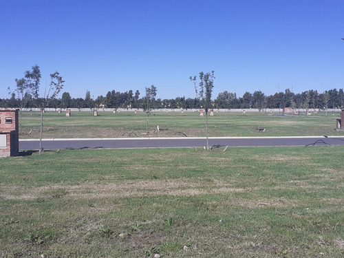 Imagen 14 de 22 de Terreno - Carpinchos