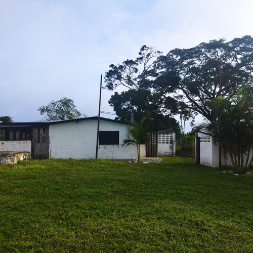 Vc Vende Terreno 10,3 Hectáreas Cocorote San Felipe Yaracuy