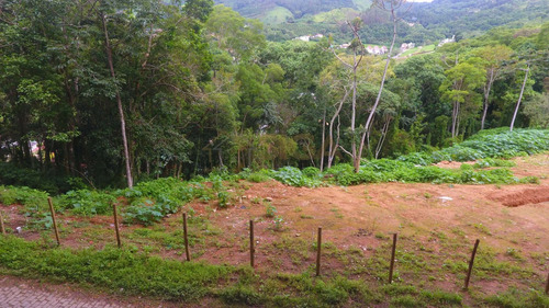 Imagem 6 de 15 de Lotes Exclusivos No Cônego - Lote 13 - 232
