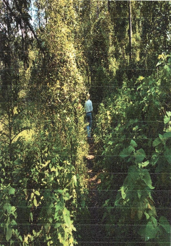 Terreno En Venta En Ex Hacienda San Lucas Del Pulque.