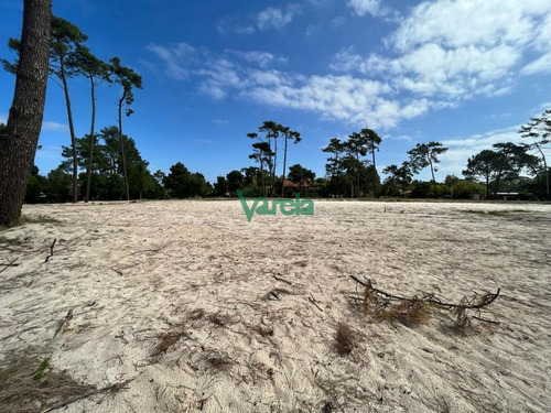 Imagen 7 de 9 de Venta De Terrenos En Salinas Sur