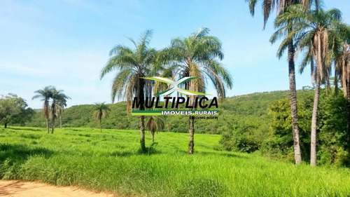 Imagem 6 de 9 de Fazenda Para Pecuária, 460 Hectares Em São Gonçalo Do Abaeté Mg - 386