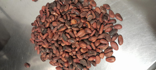 Cacao Tostado Kilogramo
