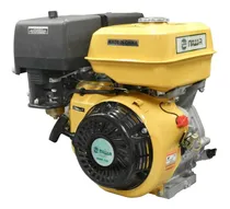 Comprar Motor Explosión Niwa Horizontal Eléctrico Naftero Mnw-13e 