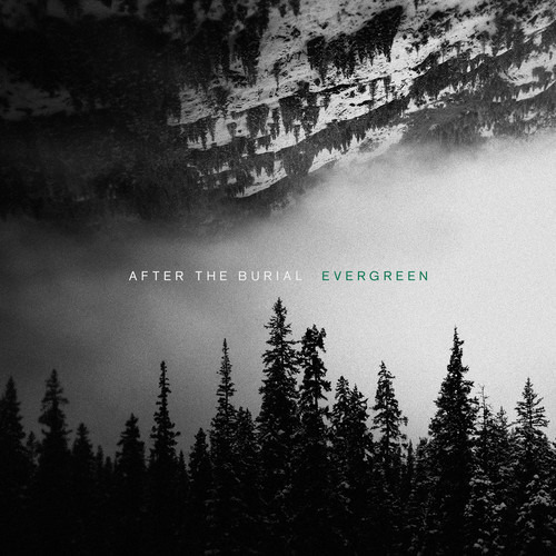 Después Del Entierro: Evergreen (cd)