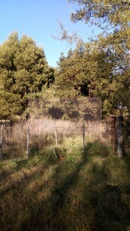 Imagen 4 de 4 de 8 Héctareas En Gral. Madariaga