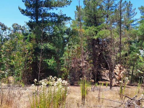 Parcela En Sorprendente Entorno De 20.000m2