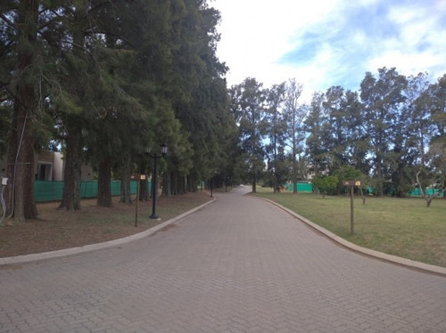 Imagen 3 de 9 de Azahares Del Paraná, Lote Con Cama Náutica