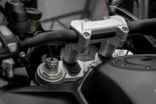 Imagen 19 de 21 de Triumph Tiger 1200 Rally Explorer