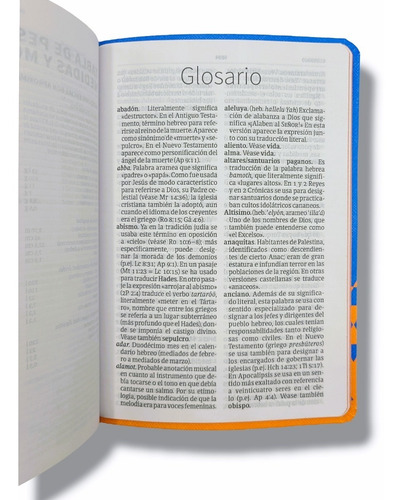 Imagen 7 de 9 de Biblia Nueva Version Internacional Azul Naranja Imit Piel