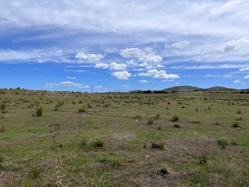 Venta Terreno Fracción Chacra Campo Sobre Ruta 39 Punta Del Este Aiguá Maldonado