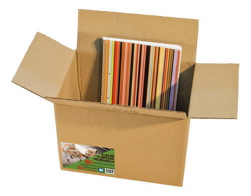 Cajas De Cartón Embalaje Reforzada 35x25x25 Pack X25u