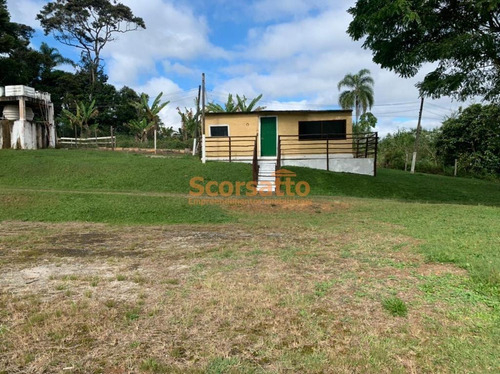 Imagem 13 de 22 de Chácara À Venda, Mendes, São Lourenço Da Serra/sp - 5864