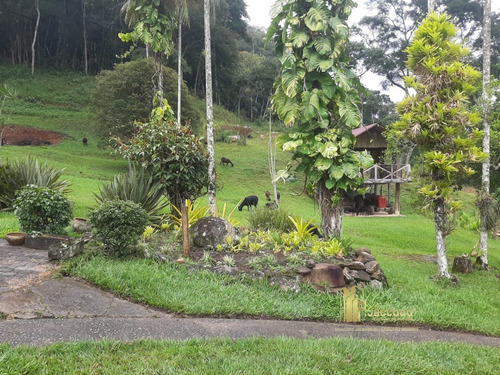 Imagem 14 de 24 de Chácara A Venda No Bairro Banquete Em Bom Jardim - Rj. - 1492-1