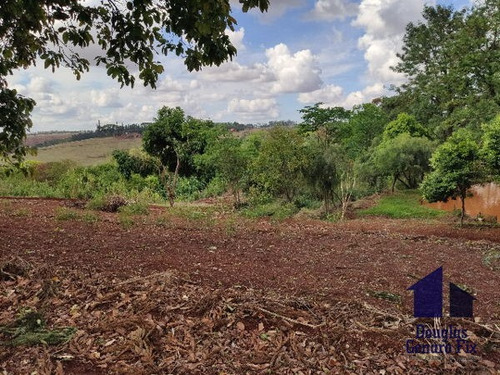 Imagem 10 de 16 de Rural Chacara - 775286-v