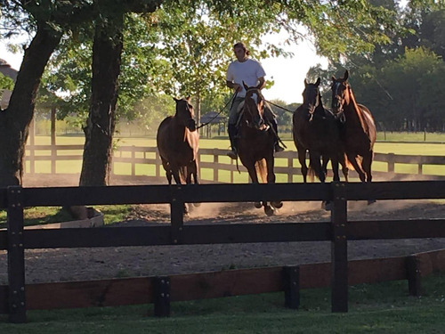 Club De Polo Y Equitacion De Renombre En Venta - Mercedes/tomas Jofre