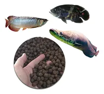 Comprar Ração Pu002F Peixes Carnívoros Pirarucu, Aruana E Outros Gr 5 Kg