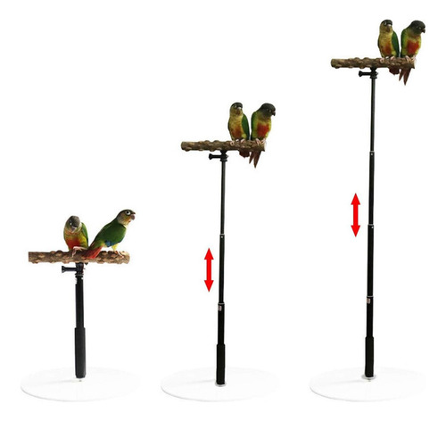 Bird Perch Parrot Training Playstand Con Base De Ejercicio