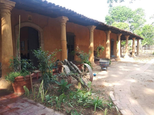 Imagen 3 de 11 de Finca En Venta En Bejuma, Carabobo