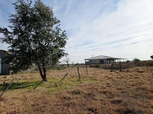 Imagen 19 de 23 de Campo Agrícola En Gualeguaychú (camino De Rojas)