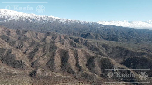 Imagen 13 de 30 de Campo En Venta En Tupungato De 30000 Has - Viñedos De Altura - Nogales - Desarrollo Inmobiliario