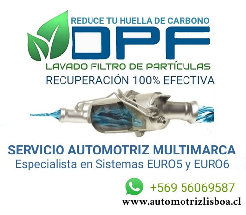 Filtro De Partículas Diesel Dpf Limpieza Soluciones Lavado