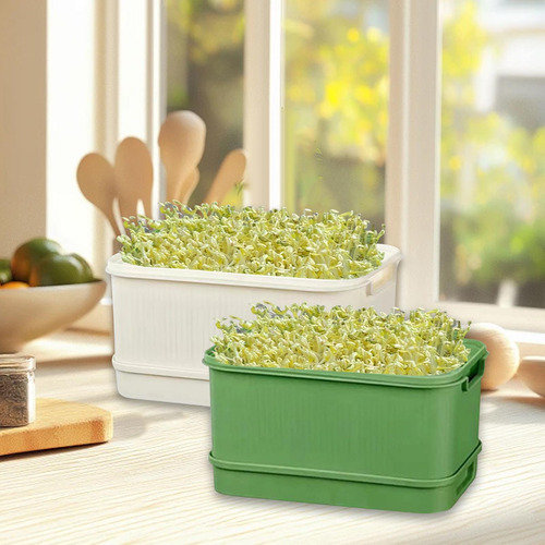 2 Peças Brotos Bandeja Microgreens Cultivando Bandejas De