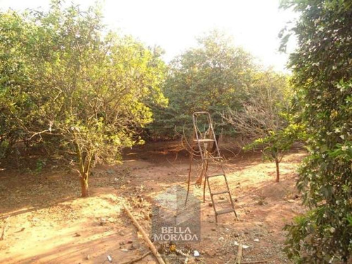 Imagem 6 de 10 de Chácara 2.000 M² Sta Vitória Limeiraxmogi-mirim - Ch-13-1