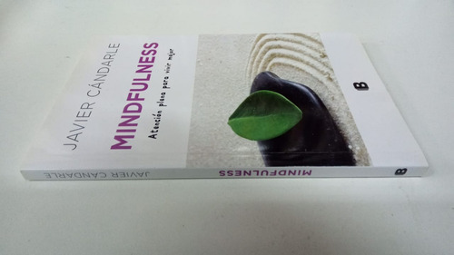 Mindfulness - Javier Candarle - Formato Grande