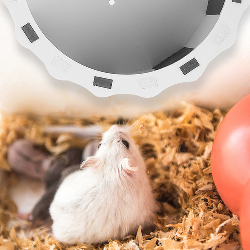 Rueda Para Correr Hamster Toy Hamster