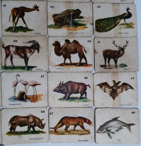 Imagen 6 de 8 de Antiguas Figuritas Animales Cartón Lote X 60 Ro 293