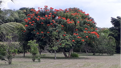 Vendo Lote En Condominio En Via A Puerto Lopez