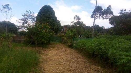 Imagem 23 de 23 de Chácara Com 05 Dormitórios Sendo 01 Suíte, 03 Banheiros, 02 Salas E 02 Cozinhas E Com 15.000 M² De Área Total, Em Peruíbe, No Bairro São Francisco Ref: 7882/ac